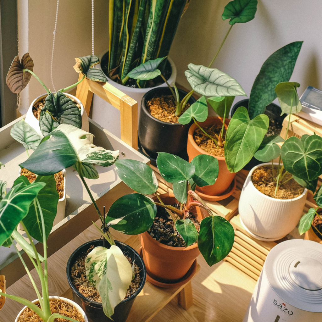 Get Ready to LEAP Into Spring at the Leprechaun Leap 2026! - Froggy 102 ...