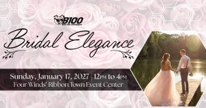 Bridal Elegance thumbnail